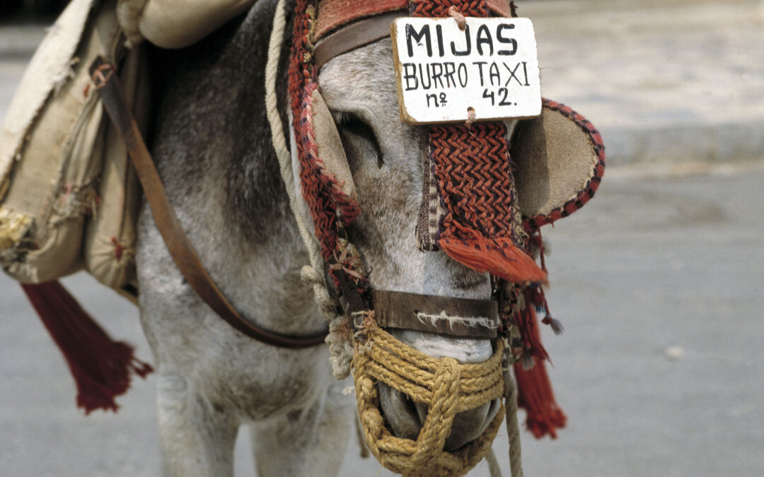 Vacaciones de antaño / Burrotaxi en Mijas