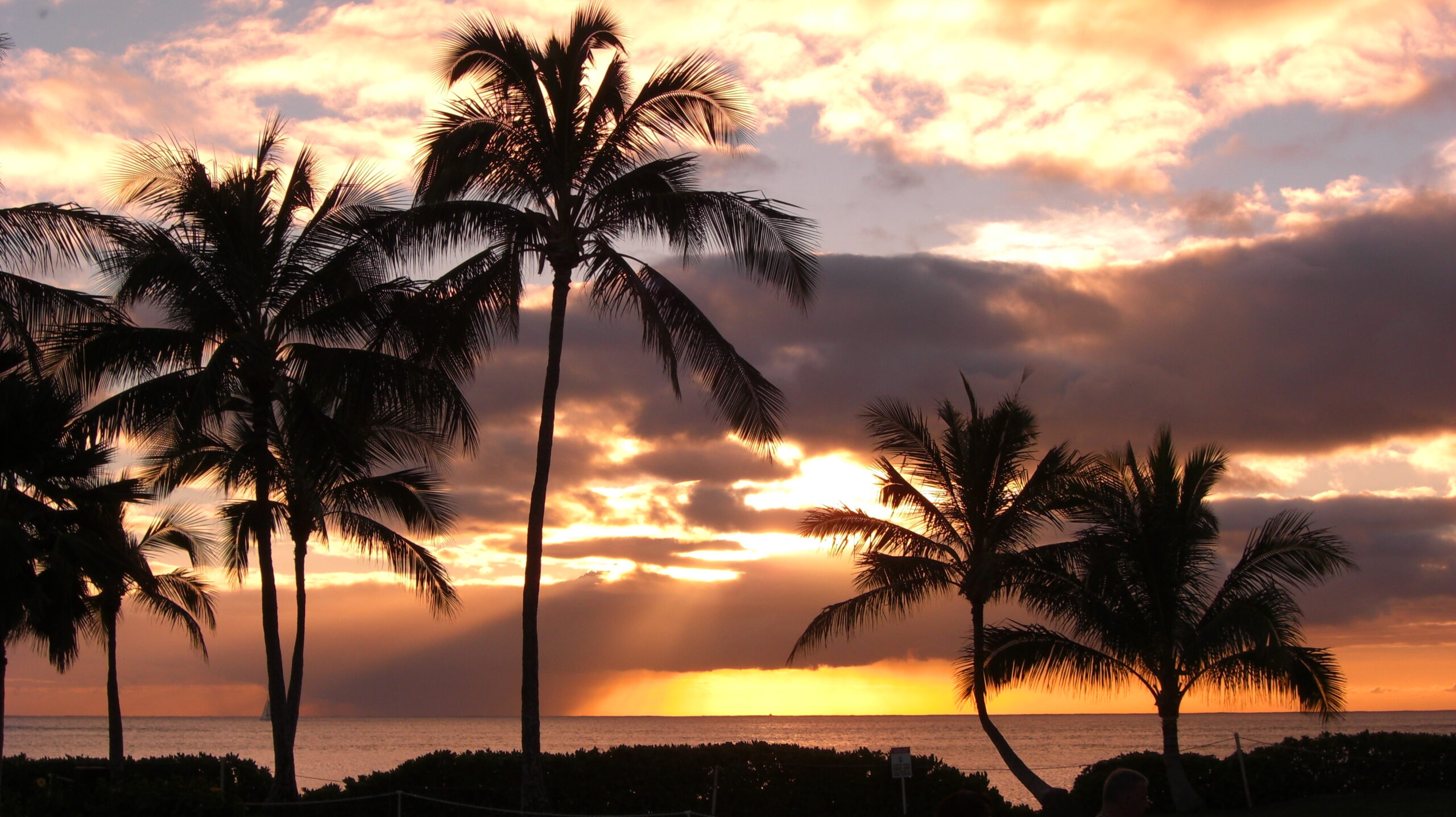 Playas de leyenda / ¿Existe Waikiki?