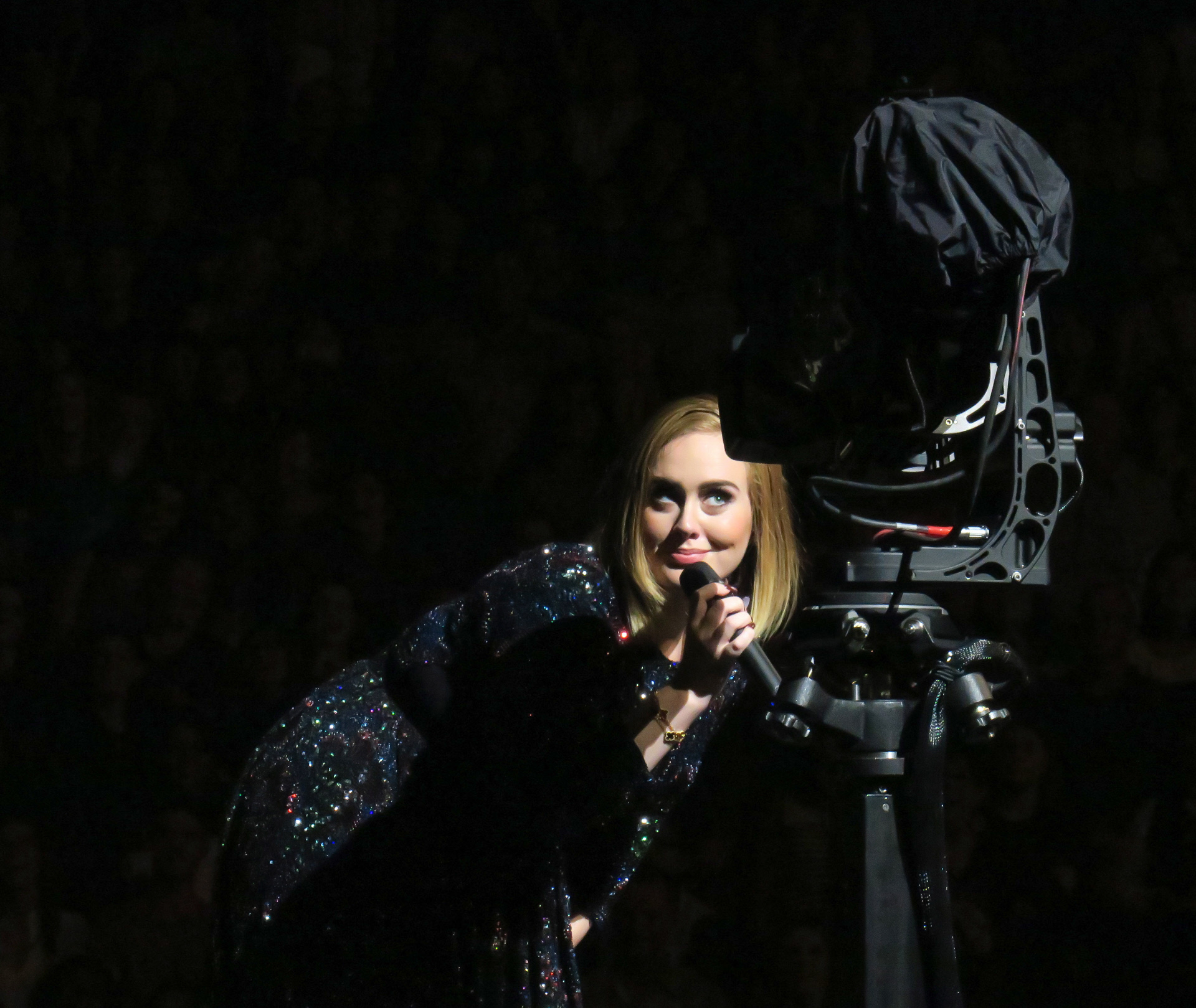 Y Adele paró un concierto en Las Vegas: “¿Puedes dejarle en paz, por favor?”