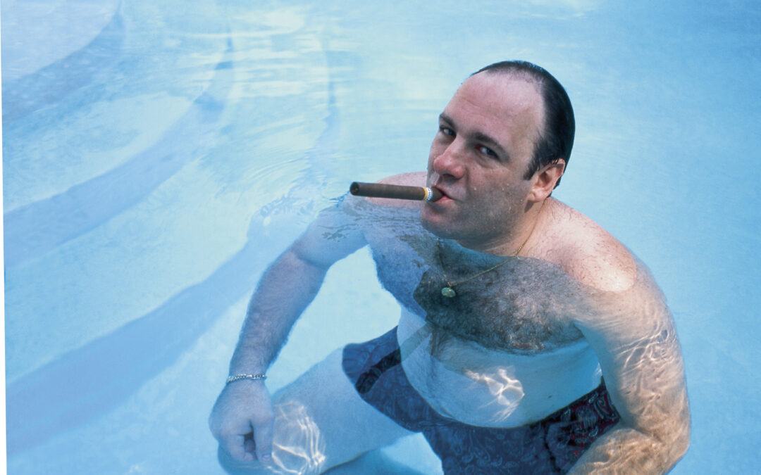 Momentos estelares en la piscina / James Gandolfini, 1999