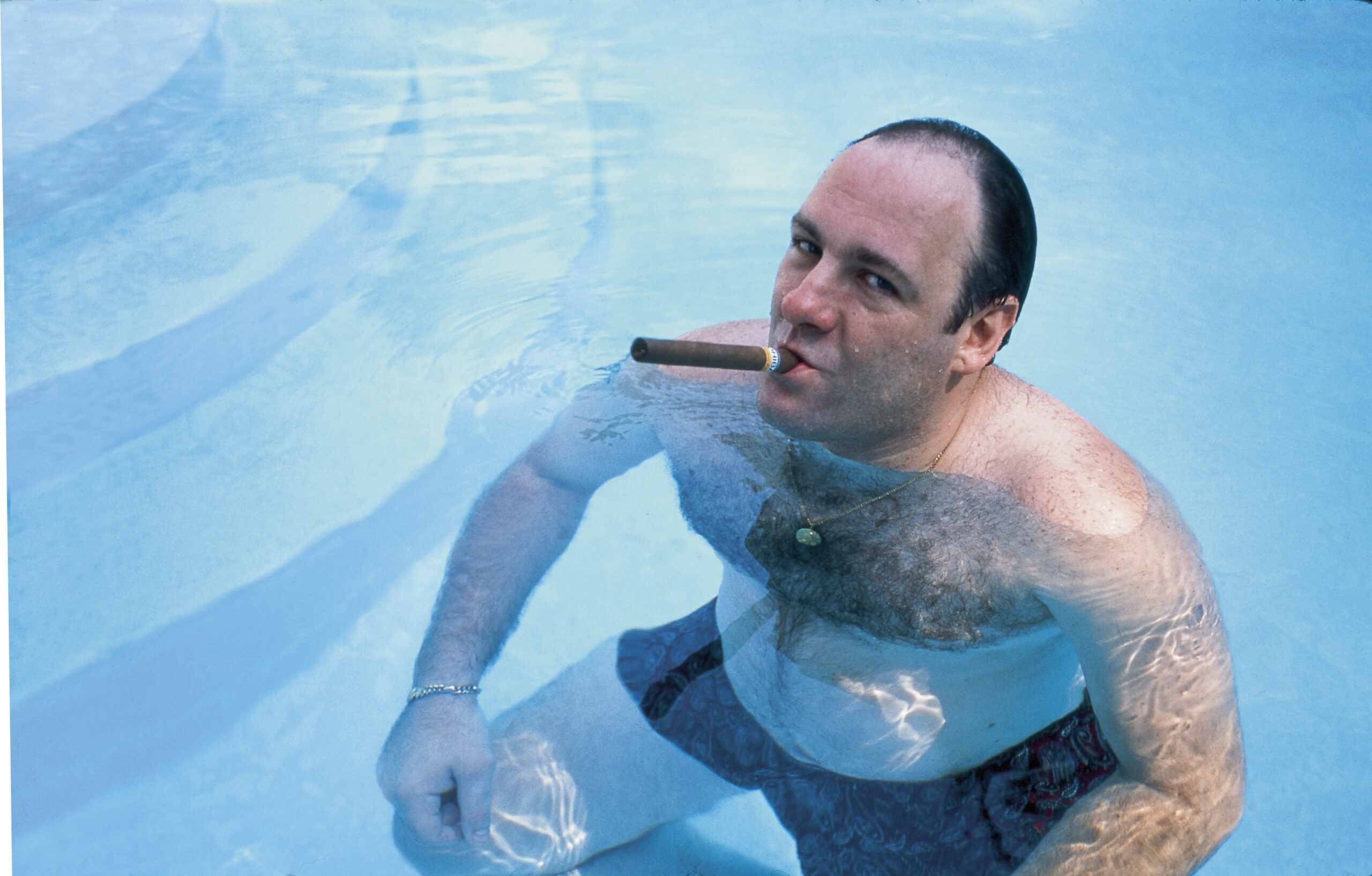 Momentos estelares en la piscina / James Gandolfini, 1999