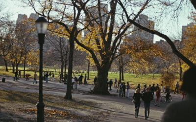 7 recomendaciones (y 1/2) para el otoño